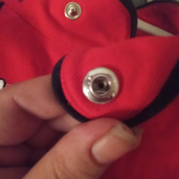 Chase Authentics Driver's Line Dale Earnhardt Jr - Picture 12 of 16